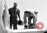 Image of P-5Bs of 28th Photo Reconnaissance Squadron Okinawa Ryukyu Islands, 1945, second 15 stock footage video 65675034702