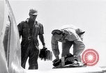 Image of P-5Bs of 28th Photo Reconnaissance Squadron Okinawa Ryukyu Islands, 1945, second 16 stock footage video 65675034702