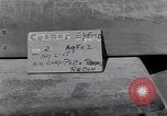 Image of 28th Photo Reconnaissance Squadron returns Okinawa Ryukyu Islands, 1945, second 60 stock footage video 65675034703