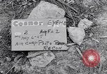 Image of Photo processing by the 28th Photo Reconnaissance Squadron Okinawa Ryukyu Islands, 1945, second 3 stock footage video 65675034704