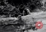 Image of Photo processing by the 28th Photo Reconnaissance Squadron Okinawa Ryukyu Islands, 1945, second 10 stock footage video 65675034704