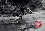Image of Photo processing by the 28th Photo Reconnaissance Squadron Okinawa Ryukyu Islands, 1945, second 11 stock footage video 65675034704