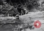 Image of Photo processing by the 28th Photo Reconnaissance Squadron Okinawa Ryukyu Islands, 1945, second 16 stock footage video 65675034704