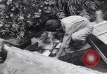Image of Photo processing by the 28th Photo Reconnaissance Squadron Okinawa Ryukyu Islands, 1945, second 17 stock footage video 65675034704