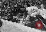 Image of Photo processing by the 28th Photo Reconnaissance Squadron Okinawa Ryukyu Islands, 1945, second 18 stock footage video 65675034704