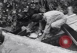 Image of Photo processing by the 28th Photo Reconnaissance Squadron Okinawa Ryukyu Islands, 1945, second 19 stock footage video 65675034704