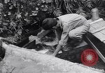 Image of Photo processing by the 28th Photo Reconnaissance Squadron Okinawa Ryukyu Islands, 1945, second 21 stock footage video 65675034704