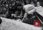 Image of Photo processing by the 28th Photo Reconnaissance Squadron Okinawa Ryukyu Islands, 1945, second 22 stock footage video 65675034704