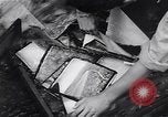 Image of Photo processing by the 28th Photo Reconnaissance Squadron Okinawa Ryukyu Islands, 1945, second 27 stock footage video 65675034704
