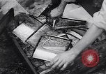Image of Photo processing by the 28th Photo Reconnaissance Squadron Okinawa Ryukyu Islands, 1945, second 29 stock footage video 65675034704