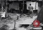 Image of Photo processing by the 28th Photo Reconnaissance Squadron Okinawa Ryukyu Islands, 1945, second 54 stock footage video 65675034704