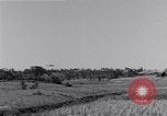 Image of Navy F-4U Corsair gear collapses during landing Okinawa Ryukyu Islands, 1945, second 14 stock footage video 65675034705