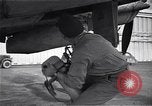 Image of U.S. Lieutenant Colonel Elliott Roosevelt Tunis Tunisia, 1943, second 12 stock footage video 65675034709