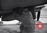Image of U.S. Lieutenant Colonel Elliott Roosevelt Tunis Tunisia, 1943, second 13 stock footage video 65675034709