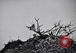 Image des soldats Shuri Okinawa îles Ryukyu, 1945, de la seconde 29 séquences d'archives historiques vidéo 65675034739