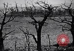Image Marines Shuri Okinawa îles Ryukyu, 1945, de la seconde 3 séquences d'archives historiques vidéo 65675034740