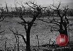 Image Marines Shuri Okinawa îles Ryukyu, 1945, de la seconde 4 séquences d'archives historiques vidéo 65675034740