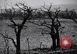 Image Marines Shuri Okinawa îles Ryukyu, 1945, de la seconde 5 séquences d'archives historiques vidéo 65675034740