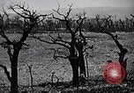 Image Marines Shuri Okinawa îles Ryukyu, 1945, de la seconde 6 séquences d'archives historiques vidéo 65675034740