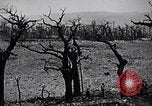 Image Marines Shuri Okinawa îles Ryukyu, 1945, de la seconde 7 séquences d'archives historiques vidéo 65675034740
