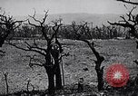 Image Marines Shuri Okinawa îles Ryukyu, 1945, de la seconde 8 séquences d'archives historiques vidéo 65675034740