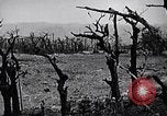 Image Marines Shuri Okinawa îles Ryukyu, 1945, de la seconde 11 séquences d'archives historiques vidéo 65675034740