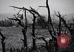 Image Marines Shuri Okinawa îles Ryukyu, 1945, de la seconde 14 séquences d'archives historiques vidéo 65675034740