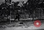 Standbild Deutsche Soldaten greifen Stalingrad an Stalingrad Russland, 1942, aus Sekunde 62 historischem Filmmaterial Videoclip 65675034742
