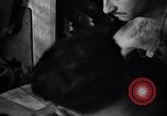 Image of Italian Barbarigo submarine Atlantic Ocean, 1942, second 34 stock footage video 65675034744