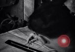 Image of Italian Barbarigo submarine Atlantic Ocean, 1942, second 35 stock footage video 65675034744