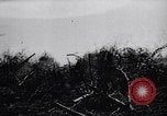 Immagine di Ufficiali tedeschi La Russia, 1942, secondo 34 filmato di repertorio 65675034746
