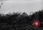 Immagine di Ufficiali tedeschi La Russia, 1942, secondo 35 filmato di repertorio 65675034746