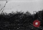 Immagine di Ufficiali tedeschi La Russia, 1942, secondo 36 filmato di repertorio 65675034746