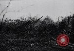 Immagine di Ufficiali tedeschi La Russia, 1942, secondo 37 filmato di repertorio 65675034746