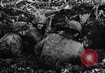 Immagine di Ufficiali tedeschi La Russia, 1942, secondo 53 filmato di repertorio 65675034746