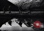 Standbild German Mountain Truppen Dalar Baschi Peak Kaukasus, 1942, aus Sekunde 6 historischem Filmmaterial Videoclip 65675034747
