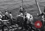 Image of Atlantic convoy Iceland, 1941, second 7 stock footage video 65675034759