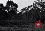 Standbild Bau von Ledo Road Manpin Birma, 1944, aus Sekunde 6 historischem Filmmaterial Videoclip 65675034788