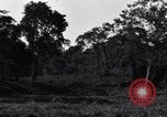Standbild Bau von Ledo Road Manpin Birma, 1944, aus Sekunde 10 historischem Filmmaterial Videoclip 65675034788