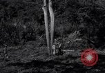 Standbild Bau von Ledo Road Manpin Birma, 1944, aus Sekunde 17 historischem Filmmaterial Videoclip 65675034788