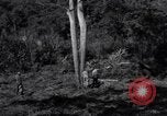 Standbild Bau von Ledo Road Manpin Birma, 1944, aus Sekunde 18 historischem Filmmaterial Videoclip 65675034788