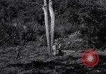 Standbild Bau von Ledo Road Manpin Birma, 1944, aus Sekunde 19 historischem Filmmaterial Videoclip 65675034788