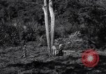 Standbild Bau von Ledo Road Manpin Birma, 1944, aus Sekunde 20 historischem Filmmaterial Videoclip 65675034788