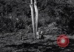 Standbild Bau von Ledo Road Manpin Birma, 1944, aus Sekunde 21 historischem Filmmaterial Videoclip 65675034788