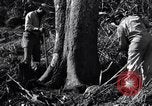 Standbild Bau von Ledo Road Manpin Birma, 1944, aus Sekunde 24 historischem Filmmaterial Videoclip 65675034788