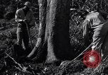 Standbild Bau von Ledo Road Manpin Birma, 1944, aus Sekunde 26 historischem Filmmaterial Videoclip 65675034788