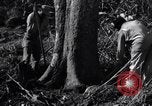 Standbild Bau von Ledo Road Manpin Birma, 1944, aus Sekunde 27 historischem Filmmaterial Videoclip 65675034788
