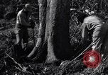 Standbild Bau von Ledo Road Manpin Birma, 1944, aus Sekunde 29 historischem Filmmaterial Videoclip 65675034788