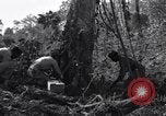 Standbild Bau von Ledo Road Manpin Birma, 1944, aus Sekunde 31 historischem Filmmaterial Videoclip 65675034788