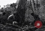 Standbild Bau von Ledo Road Manpin Birma, 1944, aus Sekunde 32 historischem Filmmaterial Videoclip 65675034788
